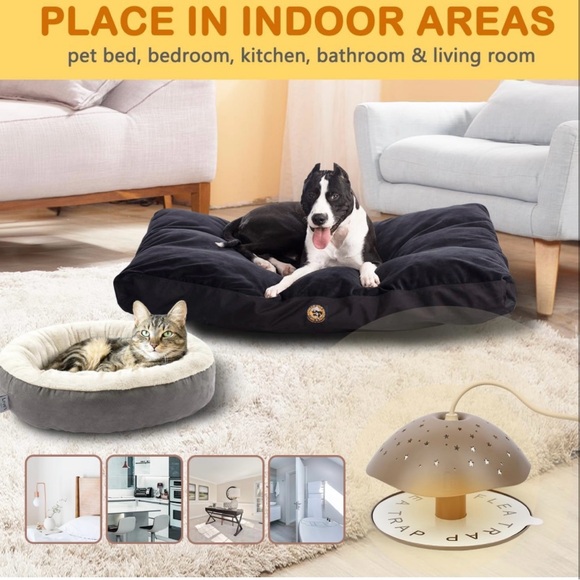 Flea Trap - Picture 6 of 7